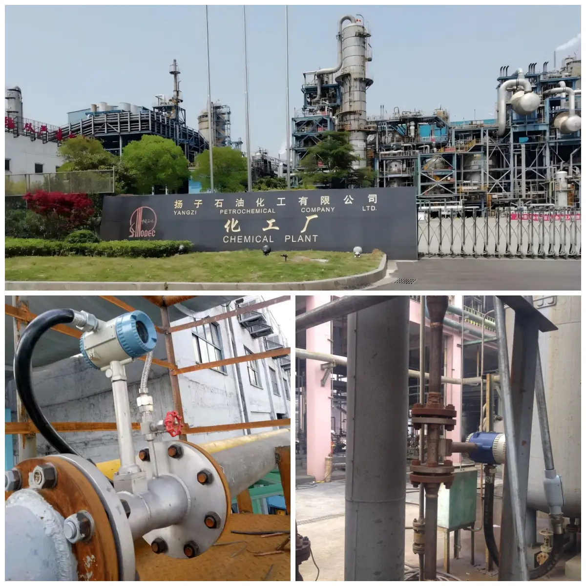 성공 사례 — 정유 및 화학 | Sinopec Yangzi 석유화학 | 개편 핵심 사항